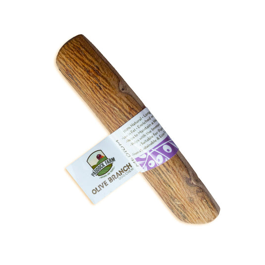 Oliventræ Tyggepind