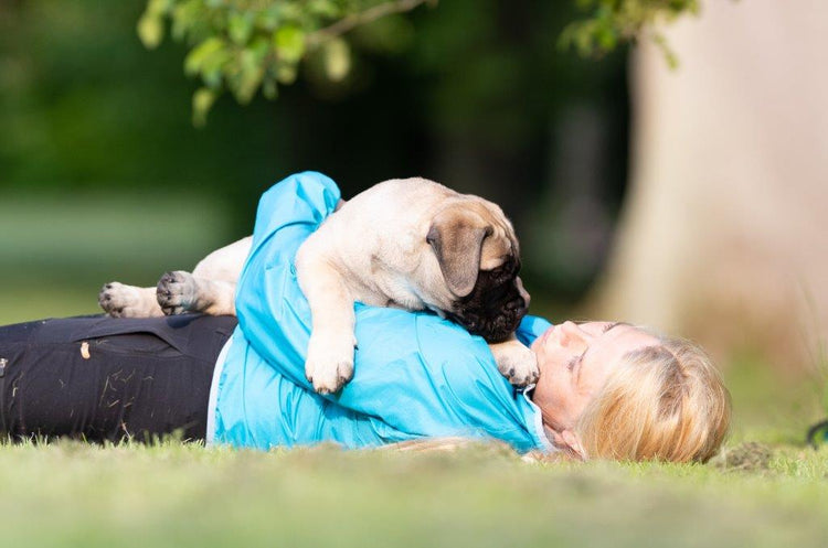 Stop med at være ‘alfa’…