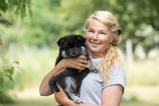 Hundetræneren: 98 procent - drømmen om en hund