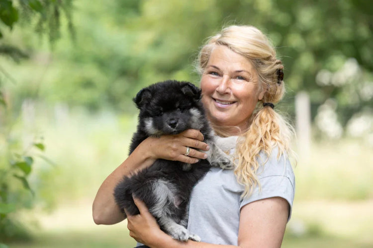 Hundetræneren: 98 procent - drømmen om en hund