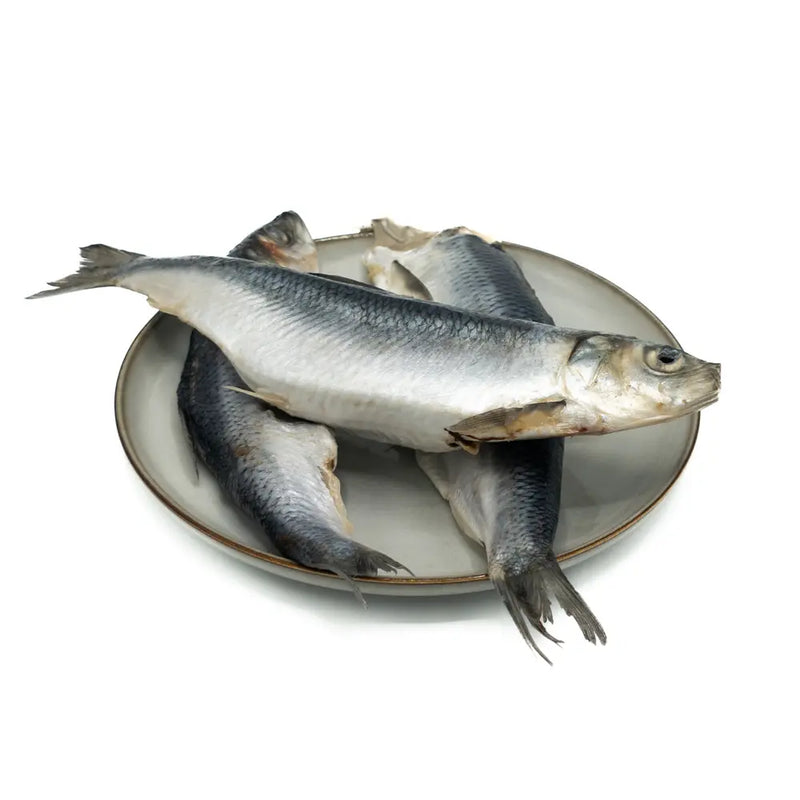 Indlæs billede i Gallery Viewer, Sild 1kg
