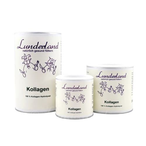 Kollagen