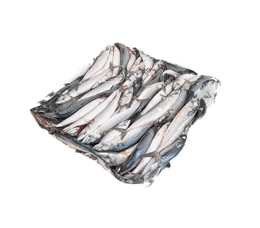 Makrel 20kg Kasse