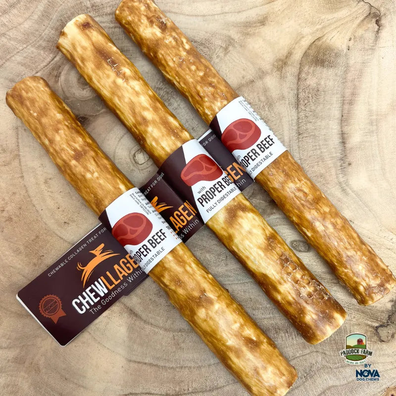 Indlæs billede i Gallery Viewer, Chewllagen Kollagen Tyggestang til Hund - Naturlig Okse Snack
