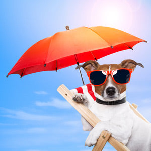 Sommerferie Lukket