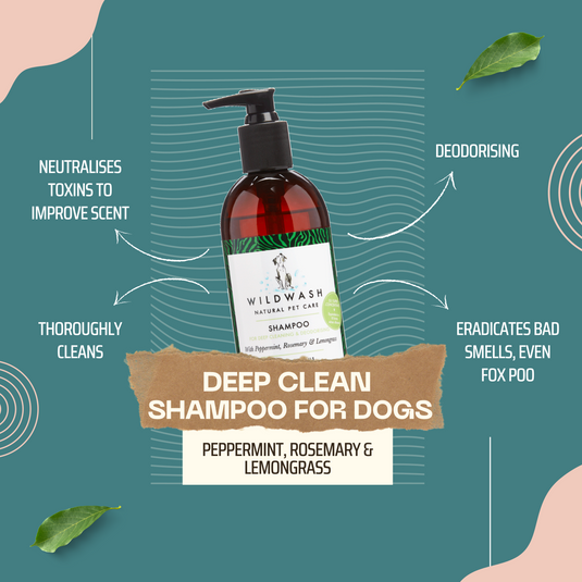 WildWash shampoo deep clean 300ml