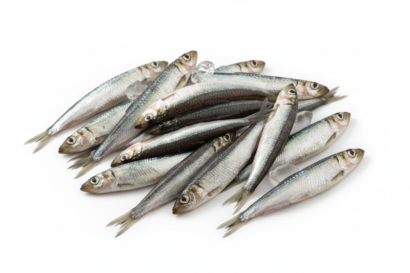 Indlæs billede i Gallery Viewer, Sprat fish
